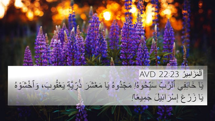 اَلْمَزَامِيرُ 22:23 AVD Bible Verse Image