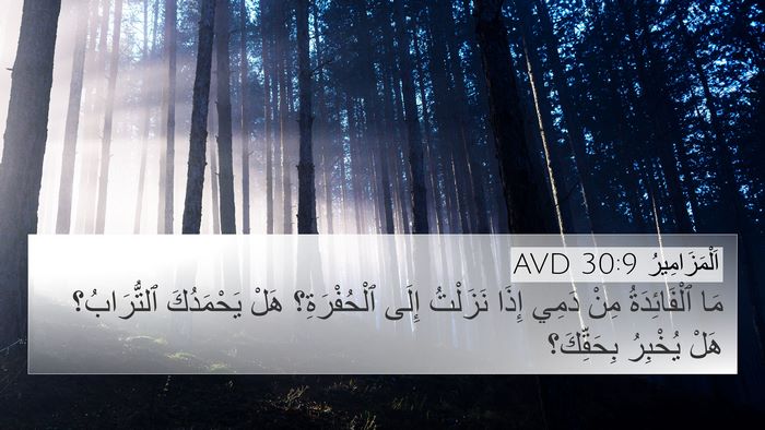اَلْمَزَامِيرُ 30:9 AVD Bible Verse Image