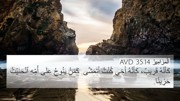 اَلْمَزَامِيرُ 35:14 AVD Bible Verse Image