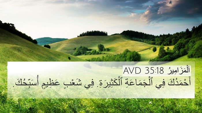 اَلْمَزَامِيرُ 35:18 AVD Bible Verse Image