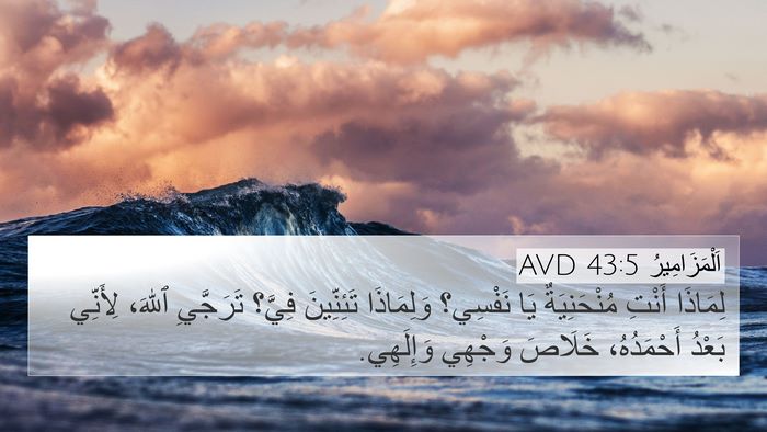 اَلْمَزَامِيرُ 43:5 AVD Bible Verse Image