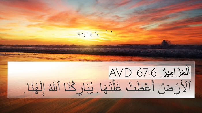 اَلْمَزَامِيرُ 67:6 AVD Bible Verse Image