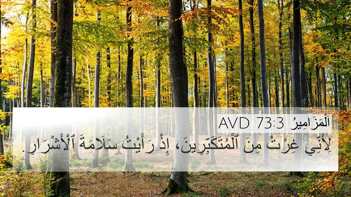 اَلْمَزَامِيرُ 73:3 AVD Bible Verse Image