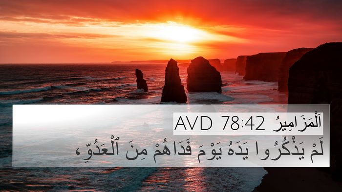 اَلْمَزَامِيرُ 78:42 AVD Bible Verse Image