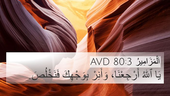 اَلْمَزَامِيرُ 80:3 AVD Bible Verse Image