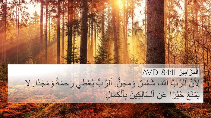 اَلْمَزَامِيرُ 84:11 AVD Bible Verse Image