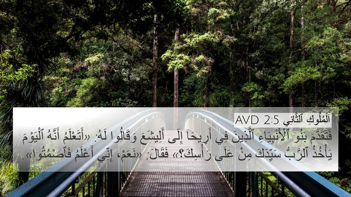 اَلْمُلُوكِ ٱلثَّانِي 2:5 AVD Bible Verse Image