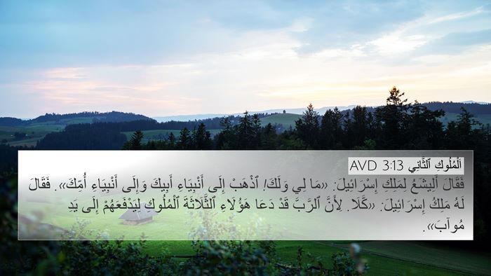 اَلْمُلُوكِ ٱلثَّانِي 3:13 AVD Bible Verse Image