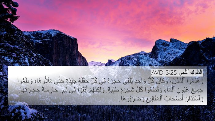 اَلْمُلُوكِ ٱلثَّانِي 3:25 AVD Bible Verse Image