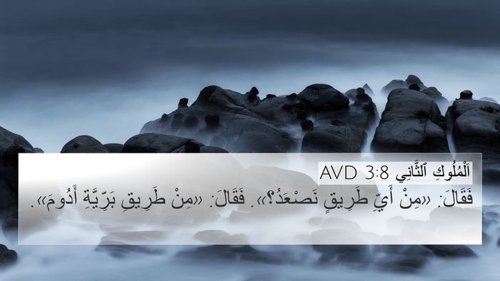 اَلْمُلُوكِ ٱلثَّانِي 3:8 AVD 4K Wallpaper - فَقَالَ: «مِنْ أَيِّ - 4K Wallpaper Bible Verse