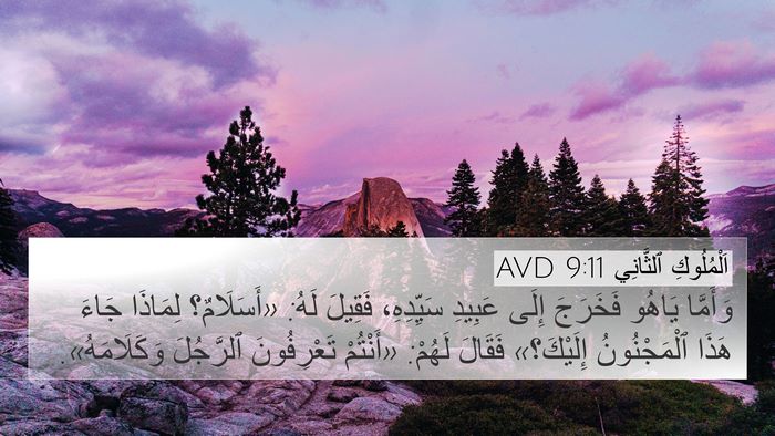 اَلْمُلُوكِ ٱلثَّانِي 9:11 AVD Bible Verse Image