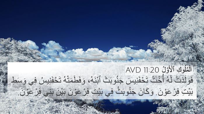 اَلْمُلُوكِ ٱلْأَوَّلُ 11:20 AVD 4K Wallpaper - فَوَلَدَتْ لَهُ أُخْتُ - 4K Wallpaper Bible Verse