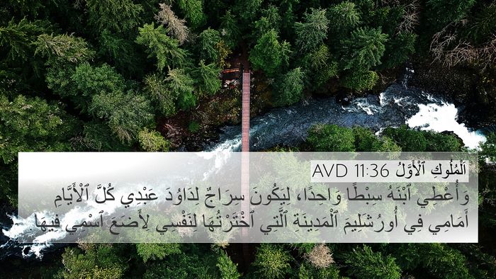 اَلْمُلُوكِ ٱلْأَوَّلُ 11:36 AVD Bible Verse Image