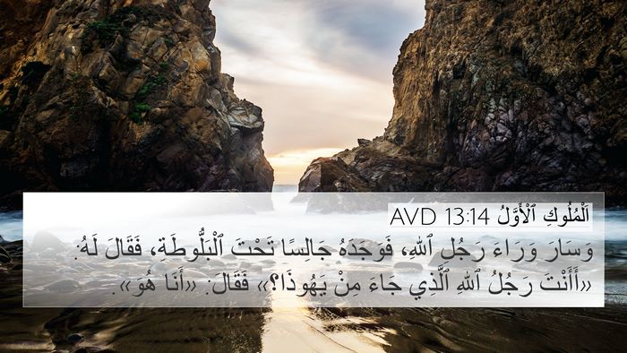 اَلْمُلُوكِ ٱلْأَوَّلُ 13:14 AVD 4K Wallpaper - وَسَارَ وَرَاءَ رَجُلِ - 4K Wallpaper Bible Verse