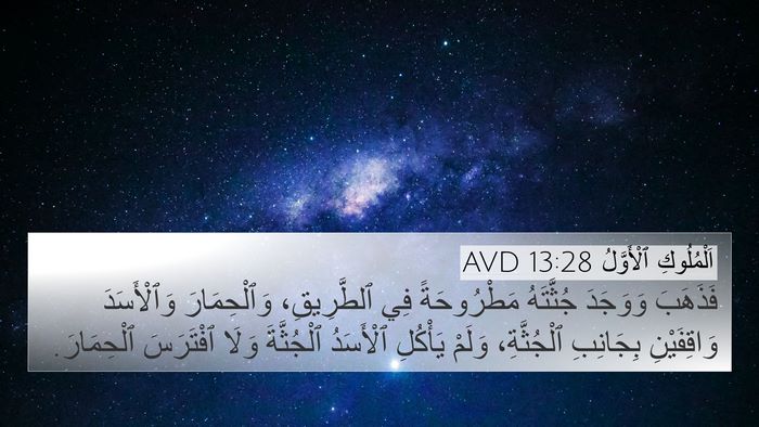 اَلْمُلُوكِ ٱلْأَوَّلُ 13:28 AVD 4K Wallpaper - فَذَهَبَ وَوَجَدَ - 4K Wallpaper Bible Verse
