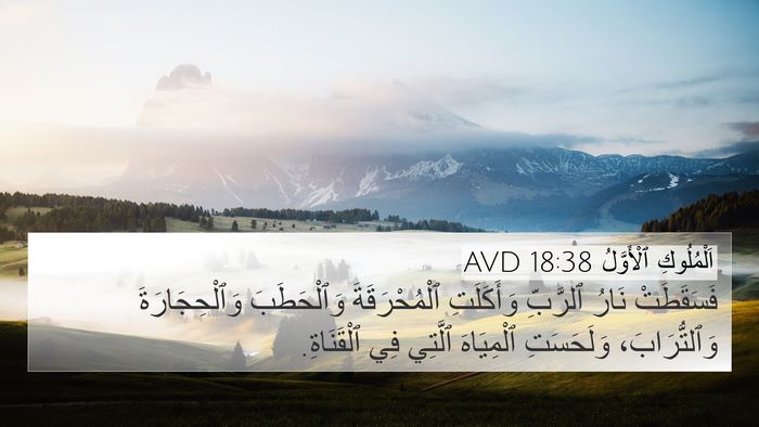 اَلْمُلُوكِ ٱلْأَوَّلُ 18:38 AVD Bible Verse Image