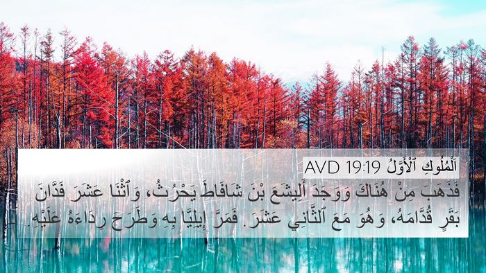 اَلْمُلُوكِ ٱلْأَوَّلُ 19:19 AVD Bible Verse Image