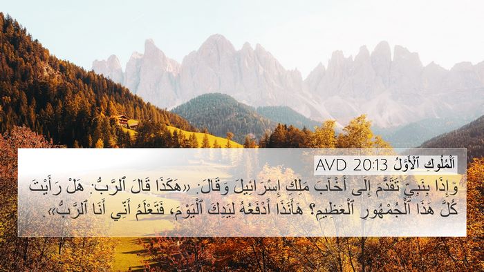 اَلْمُلُوكِ ٱلْأَوَّلُ 20:13 AVD Bible Verse Image