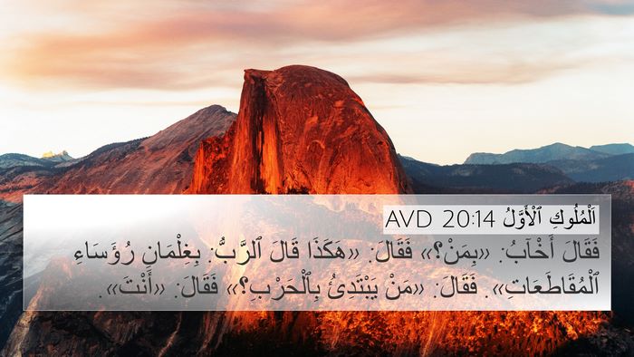 اَلْمُلُوكِ ٱلْأَوَّلُ 20:14 AVD Bible Verse Image