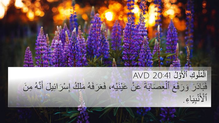 اَلْمُلُوكِ ٱلْأَوَّلُ 20:41 AVD 4K Wallpaper - فَبَادَرَ وَرَفَعَ - 4K Wallpaper Bible Verse