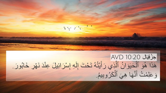 حِزْقِيَال 10:20 AVD Bible Verse Image