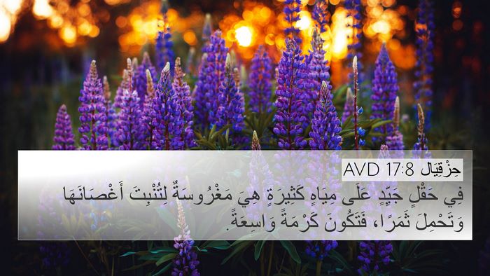حِزْقِيَال 17:8 AVD Bible Verse Image