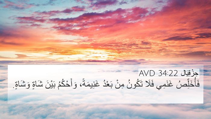 حِزْقِيَال 34:22 AVD Bible Verse Image