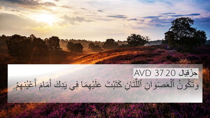 حِزْقِيَال 37:20 AVD Bible Verse Image