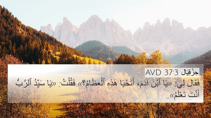 حِزْقِيَال 37:3 AVD Bible Verse Image