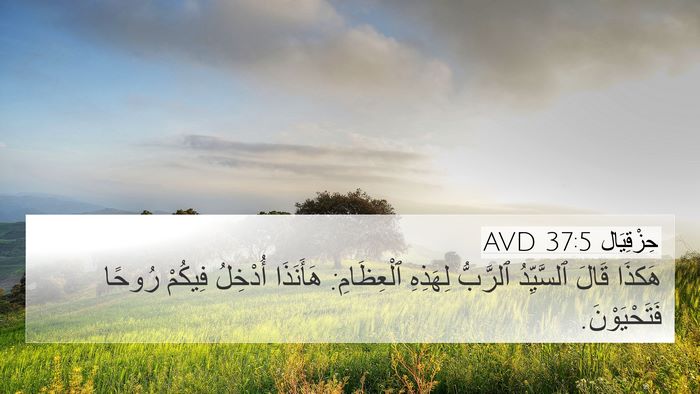 حِزْقِيَال 37:5 AVD 4K Wallpaper - هَكذَا قَالَ ٱلسَّيِّدُ - 4K Wallpaper Bible Verse