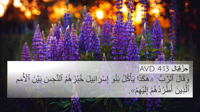 حِزْقِيَال 4:13 AVD Bible Verse Image
