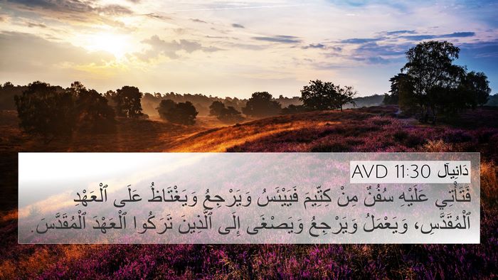 دَانِيآل 11:30 AVD Bible Verse Image