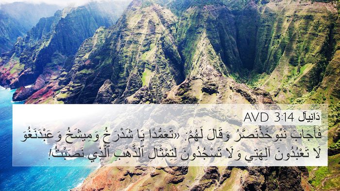 دَانِيآل 3:14 AVD 4K Wallpaper - فَأَجَابَ - 4K Wallpaper Bible Verse
