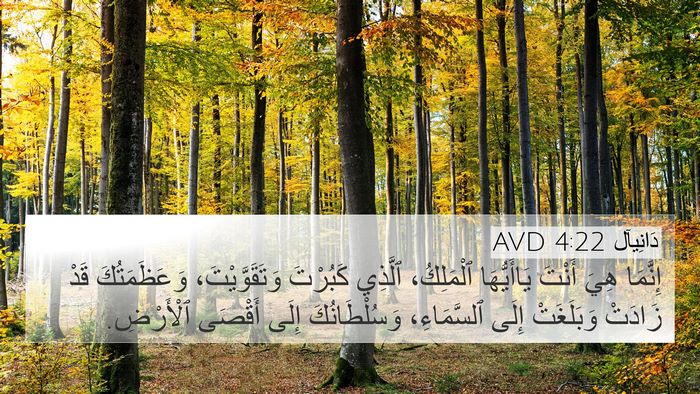 دَانِيآل 4:22 AVD Bible Verse Image