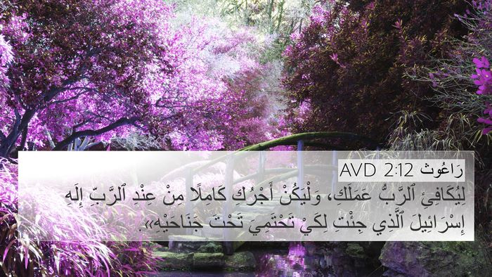 رَاعُوث 2:12 AVD Bible Verse Image
