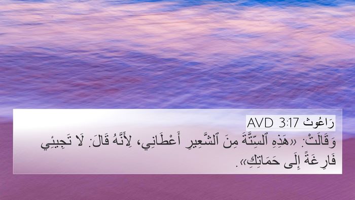 رَاعُوث 3:17 AVD 4K Wallpaper - وَقَالَتْ: «هَذِهِ - 4K Wallpaper Bible Verse