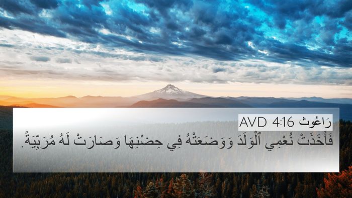 رَاعُوث 4:16 AVD 4K Wallpaper - فَأَخَذَتْ نُعْمِي - 4K Wallpaper Bible Verse