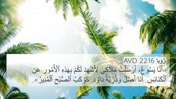 رُؤيا 22:16 AVD Bible Verse Image