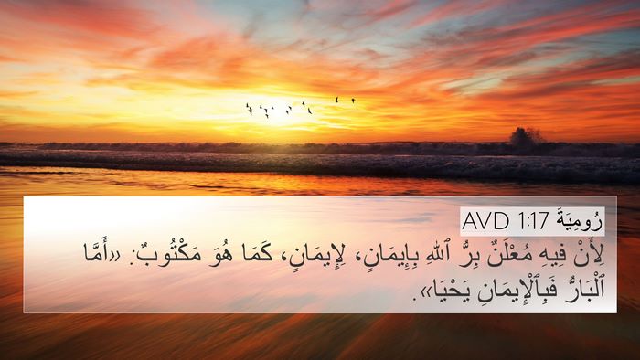 رُومِيَةَ 1:17 AVD Bible Verse Image