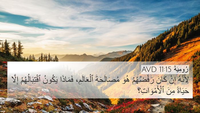 رُومِيَةَ 11:15 AVD Bible Verse Image
