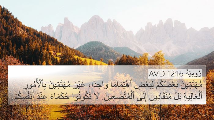 رُومِيَةَ 12:16 AVD Bible Verse Image