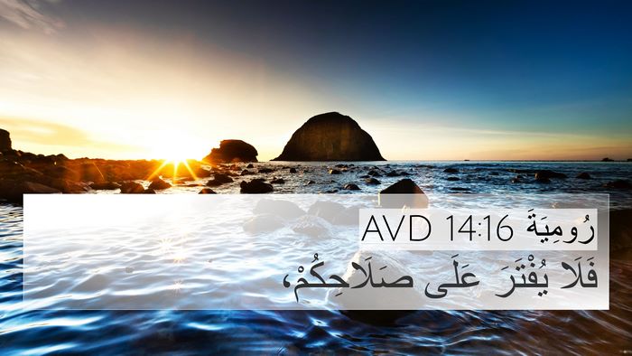 رُومِيَةَ 14:16 AVD Bible Verse Image