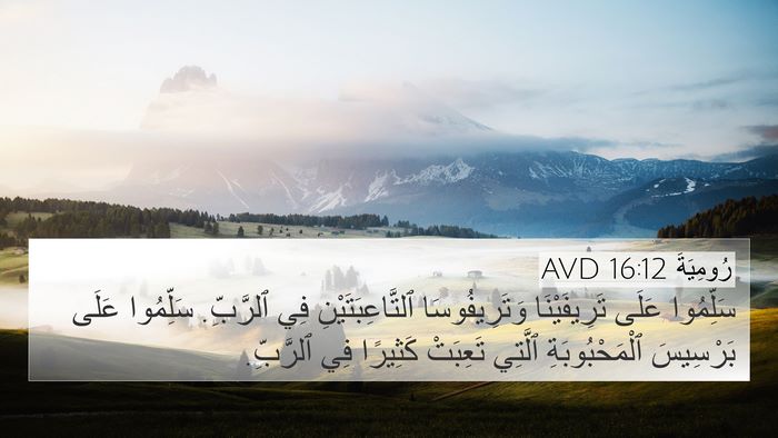 رُومِيَةَ 16:12 AVD Bible Verse Image