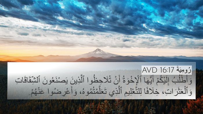 رُومِيَةَ 16:17 AVD Bible Verse Image