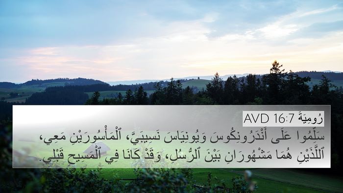 رُومِيَةَ 16:7 AVD Bible Verse Image