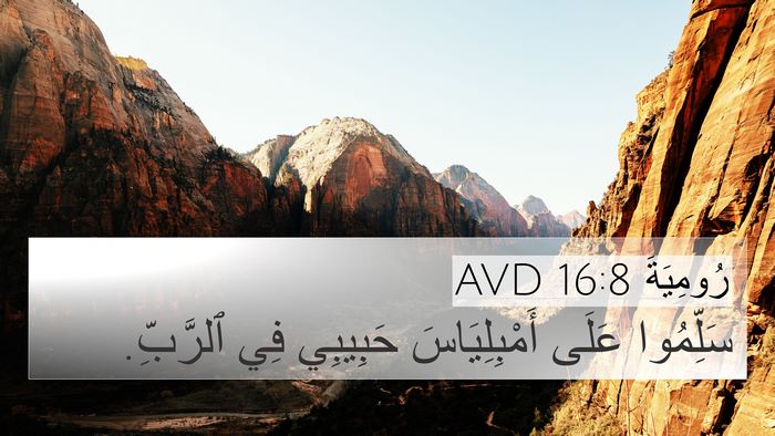 رُومِيَةَ 16:8 AVD 4K Wallpaper - سَلِّمُوا عَلَى - 4K Wallpaper Bible Verse