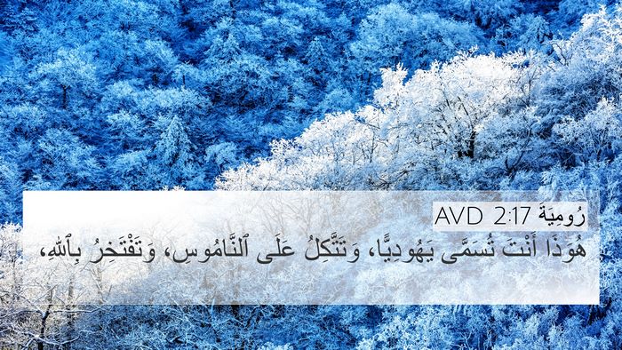 رُومِيَةَ 2:17 AVD Bible Verse Image