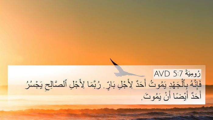 رُومِيَةَ 5:7 AVD Bible Verse Image