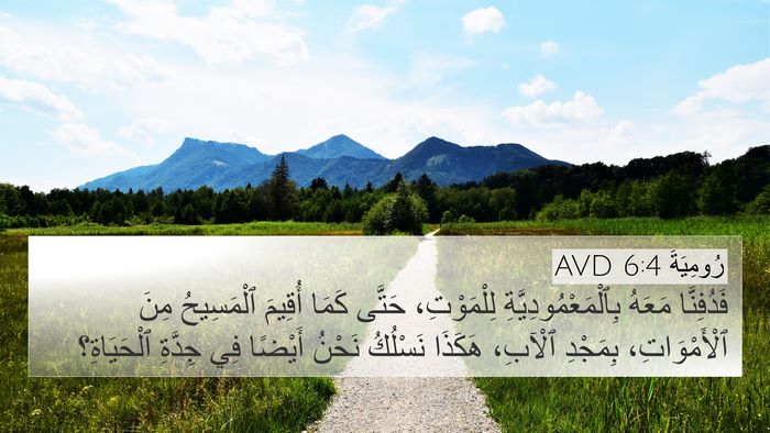 رُومِيَةَ 6:4 AVD Bible Verse Image