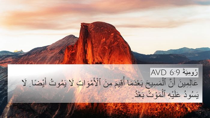 رُومِيَةَ 6:9 AVD Bible Verse Image